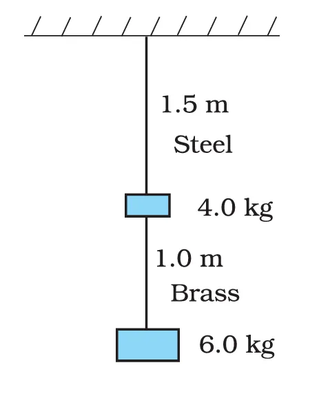 Steel and brass wires with loads